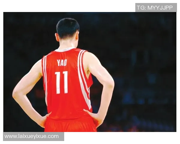 姚明与浓眉的传奇对决与历史记录解析